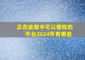 正在逾期中可以借钱的平台2024年有哪些