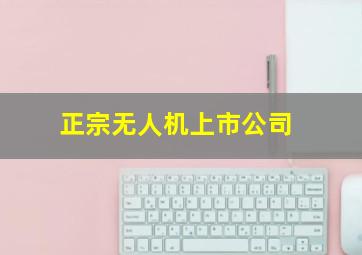 正宗无人机上市公司