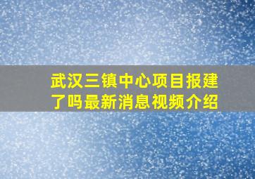 武汉三镇中心项目报建了吗最新消息视频介绍