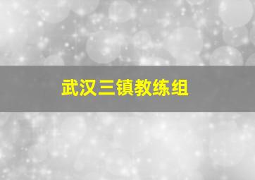 武汉三镇教练组