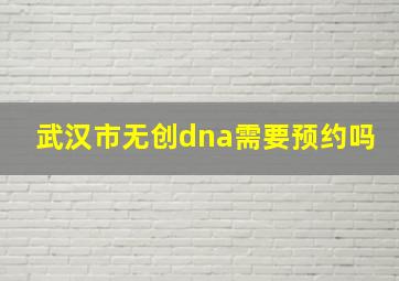 武汉市无创dna需要预约吗