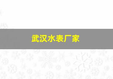 武汉水表厂家