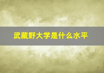 武藏野大学是什么水平