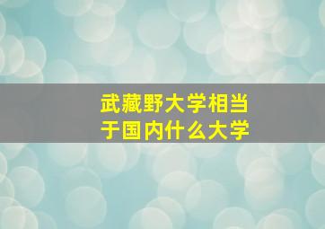 武藏野大学相当于国内什么大学