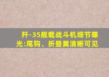 歼-35舰载战斗机细节曝光:尾钩、折叠翼清晰可见