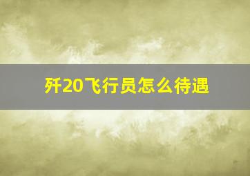 歼20飞行员怎么待遇