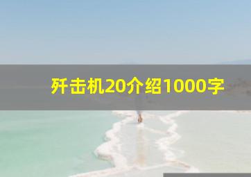 歼击机20介绍1000字