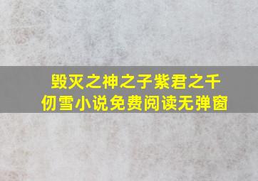 毁灭之神之子紫君之千仞雪小说免费阅读无弹窗