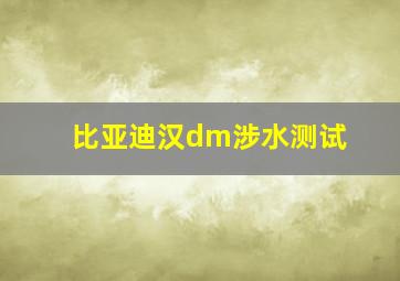 比亚迪汉dm涉水测试