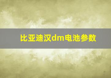 比亚迪汉dm电池参数