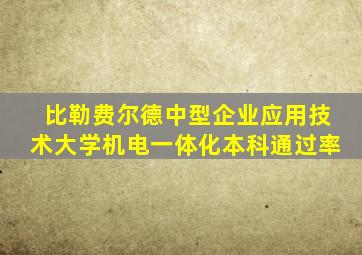 比勒费尔德中型企业应用技术大学机电一体化本科通过率