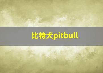 比特犬pitbull