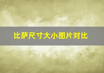 比萨尺寸大小图片对比