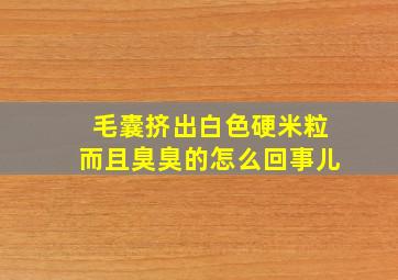 毛囊挤出白色硬米粒而且臭臭的怎么回事儿