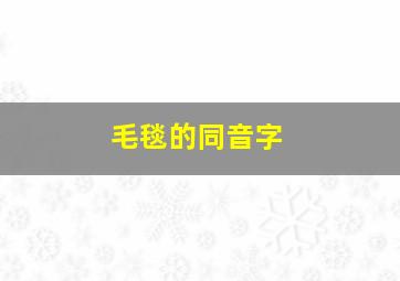 毛毯的同音字