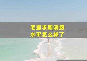 毛里求斯消费水平怎么样了