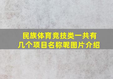 民族体育竞技类一共有几个项目名称呢图片介绍