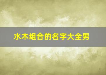 水木组合的名字大全男