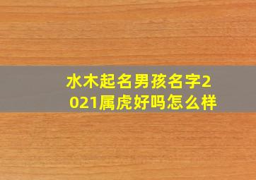 水木起名男孩名字2021属虎好吗怎么样