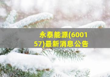 永泰能源(600157)最新消息公告