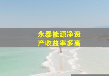 永泰能源净资产收益率多高