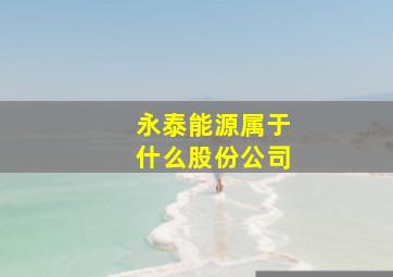 永泰能源属于什么股份公司