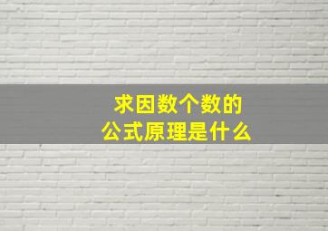 求因数个数的公式原理是什么