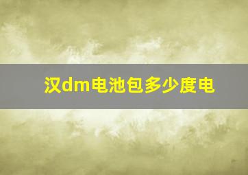 汉dm电池包多少度电