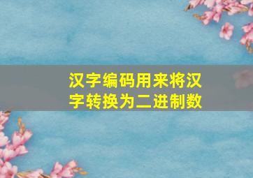 汉字编码用来将汉字转换为二进制数