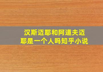 汉斯迈耶和阿道夫迈耶是一个人吗知乎小说