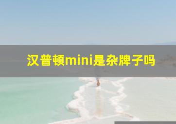 汉普顿mini是杂牌子吗