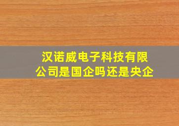 汉诺威电子科技有限公司是国企吗还是央企