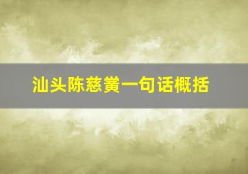 汕头陈慈黉一句话概括