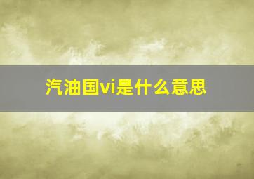 汽油国vi是什么意思