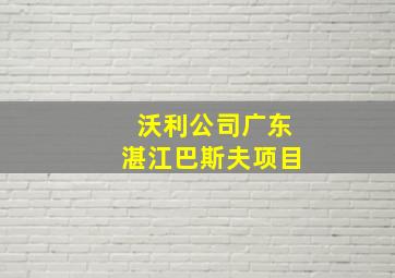 沃利公司广东湛江巴斯夫项目