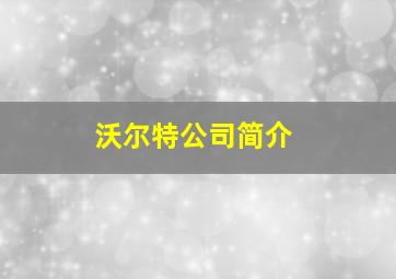 沃尔特公司简介