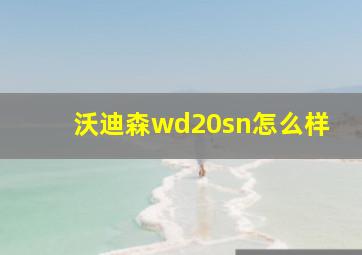 沃迪森wd20sn怎么样