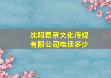 沈阳舞帝文化传媒有限公司电话多少