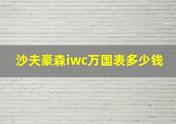 沙夫豪森iwc万国表多少钱