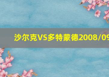 沙尔克VS多特蒙德2008/09