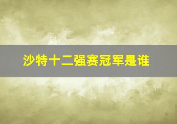 沙特十二强赛冠军是谁