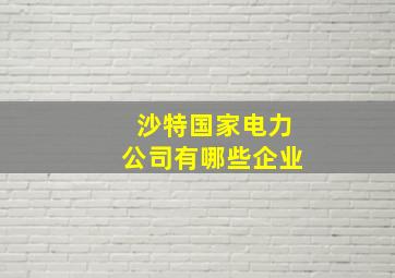 沙特国家电力公司有哪些企业