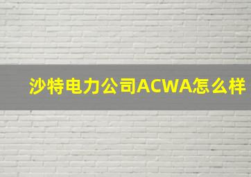 沙特电力公司ACWA怎么样