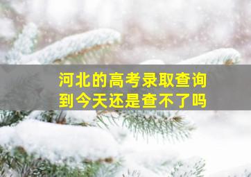 河北的高考录取查询到今天还是查不了吗