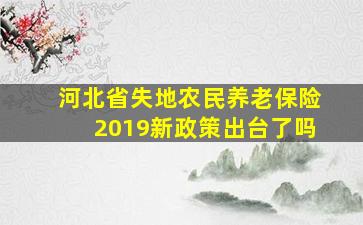 河北省失地农民养老保险2019新政策出台了吗