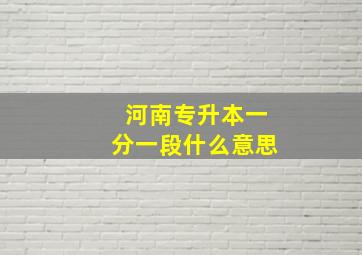 河南专升本一分一段什么意思