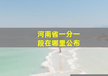 河南省一分一段在哪里公布