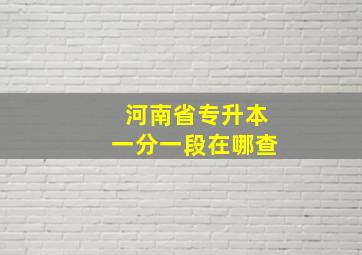 河南省专升本一分一段在哪查