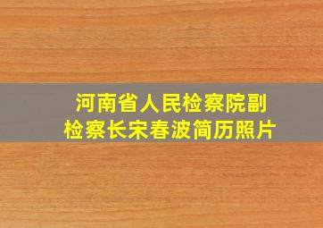 河南省人民检察院副检察长宋春波简历照片