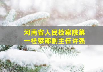 河南省人民检察院第一检察部副主任许强